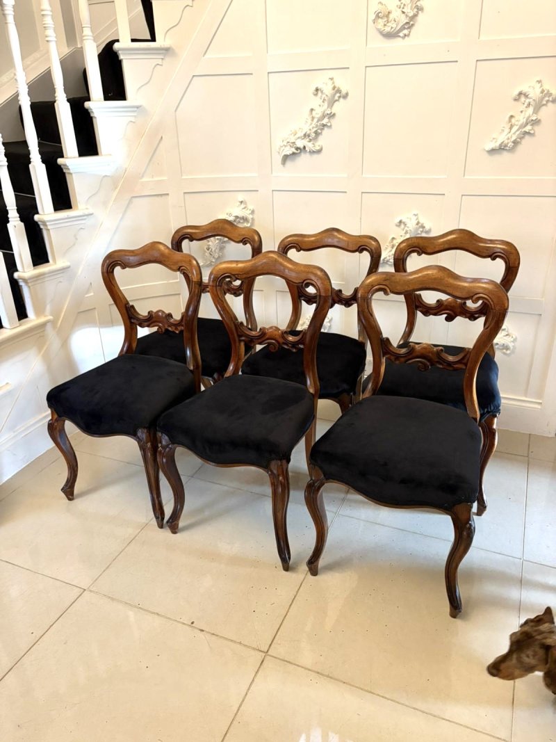 Antique Set of Six Quality Victorian Rosewood Balloon Back Dining Chairs